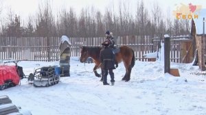 Медиапроект "СВОИ". Олег Иванович Евдокимов (2 выпуск)