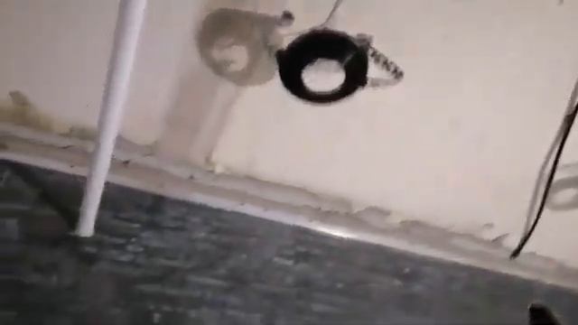 Натяжной потолок с точечными светильниками в ванной комнате смотреть онлайн