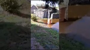 дальний восток хабаровский край Вяземский район с кедрово