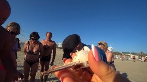 Анапа. Октябрь. Жара. Собираем ракушки. Разговор с местным жителем