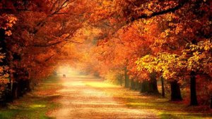 Смотрите только вперед!