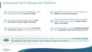 Nanoscope Therapeutics - Samarendra Mohanty, PHD
