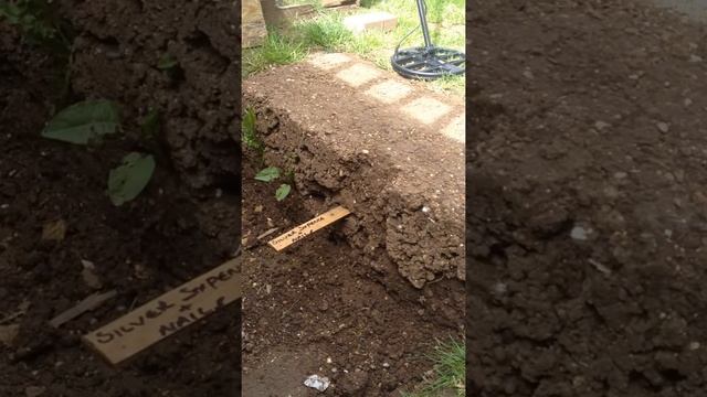 AKA Berkut 5 test смотреть онлайн