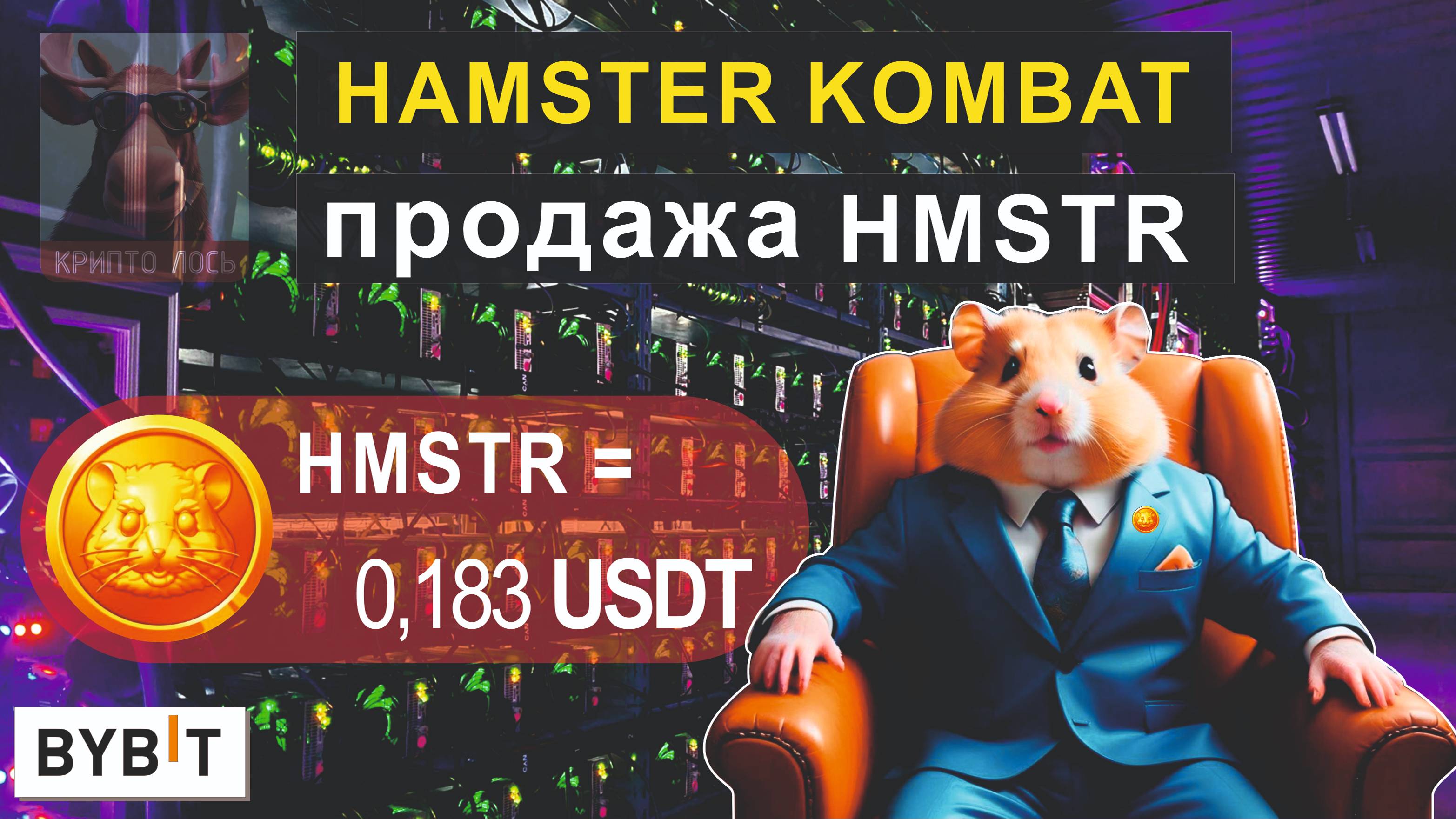 HAMSTER KOMBAT Как вывести деньги! Сколько ждать! смотреть онлайн