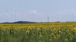 Станция дальней связи Черноморского флота (вид из Ассоколая), июль 2021