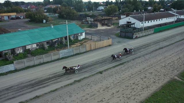 3.09.2022.гАбакан Групповой заезд для лошадей 3-х лет Рысистых пород 1600м