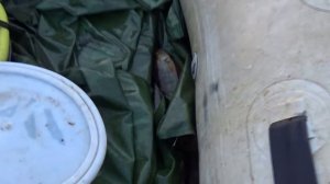 один на рыбалке - июль 2017 оз.Левинское.