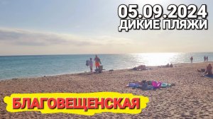 Дикие пляжи Благовещенская 05.09.2024. Подарки из Анапа. Мы приехали в этот рай!