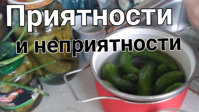 12 августа 2024. Приятности и не приятности.