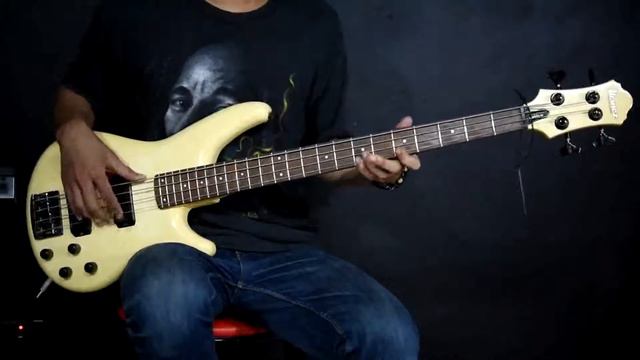 IBANEZ ROAD STAR смотреть онлайн