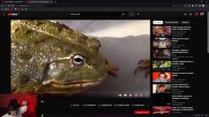 ЭВЕЛОН СМОТРИТ ВСЕ СМЕШНЫЕ ВИДОСЫ В МИРЕ