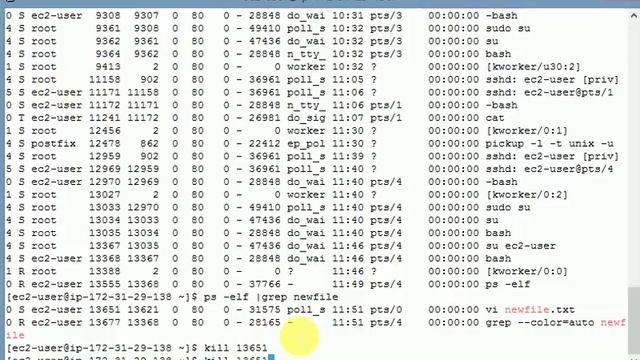 Linux Beginners Tutorials - PS and KILL commands with examples ...