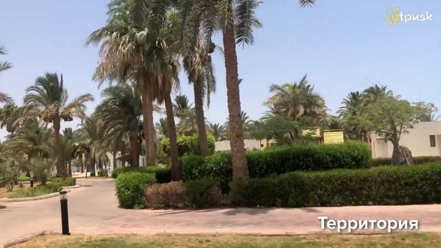 Pharaoh Azur Resort 5* Египет, Хургада, обзор, отзывы смотреть онлайн
