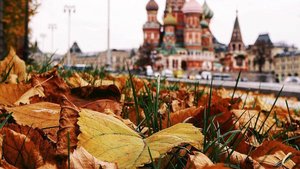 С Добрым Утром и Хорошим Днем! Отличного Настроения Весь День!