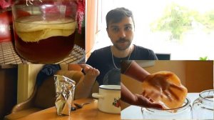 ? Как вырастить чайный гриб (Kombucha) дома самостоятельно ч1