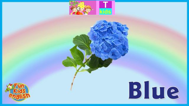 English - Colours - Blue