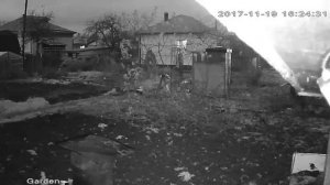 Комплект видеонаблюдения Falcon Eye FE-1104WIFI KIT, пример записи камер