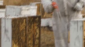 Тысячи пчелосемей+ Промышленные зимовники США: подготовка пчел к зимовке