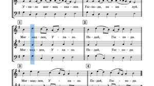 Просительная ектения (грузинская). Сопрано.