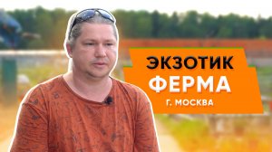 Экзотическая ферма «Экзотик ферма» в Москве