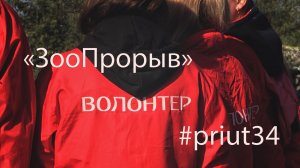 ЗооПрорыв #priut34