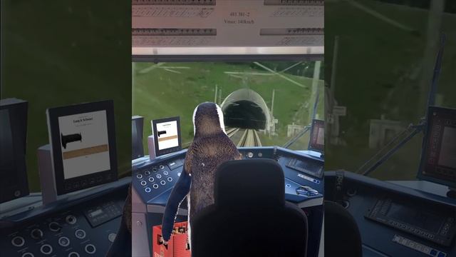 lofi beats to buy Lang und Schwarz to (feat. JFeldhaus) смотреть онлайн