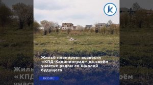 Активные жители Большого Исаково собирают подписи против многоквартирной застройки #shorts