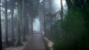 Zhangjiajie National Forest Park. China ★ Парк Чжанцзяцзе. Китай