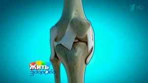 Эффективные лекарства против боли в коленях. Жить здорово! Фрагмент выпуска от 16.09.2016