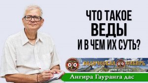 Что такое Веды и в чем их суть?