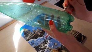 Как прорастить маш в домашних условиях. Проростки маш в бутылке.