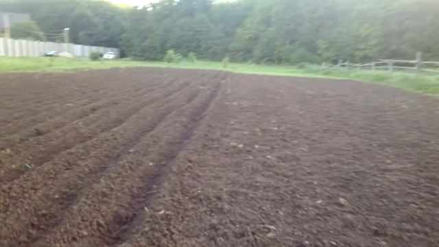 Обход огорода. Мотыга рулит! смотреть онлайн