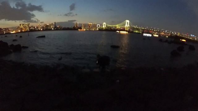 Парки, Храмы и Статуя Свободы в Токио (Япония #5) смотреть онлайн