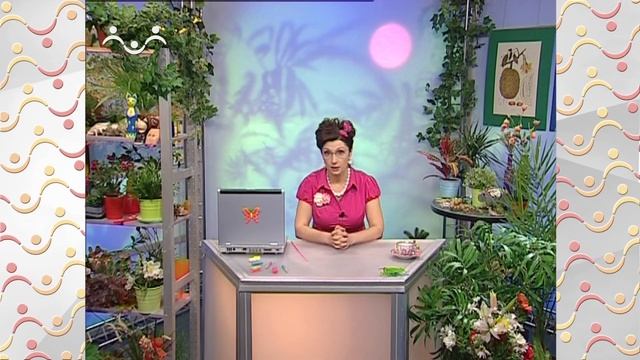 АЗН. Биология. Кофезаменители. Горчак. Могут ли рыбы жить без воды? смотреть онлайн