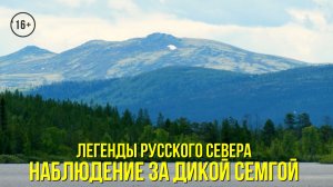 Водопад на Западной Лице / Наблюдение за дикой семгой // ЛЕГЕНДЫ РУССКОГО СЕВЕРА