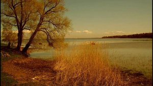 Гайтана - скучаю ( моя версия)))))