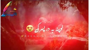 Pashto best blackscreen poetry | whatsapp status | subscribe for more videos @Deewangi_typist0(2)