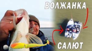 Эта ЧУДО приманка сделала РЫБАЛКУ! Волжанка или Салют с капотом?
