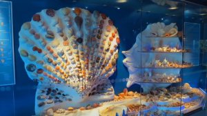 Калининград 2017