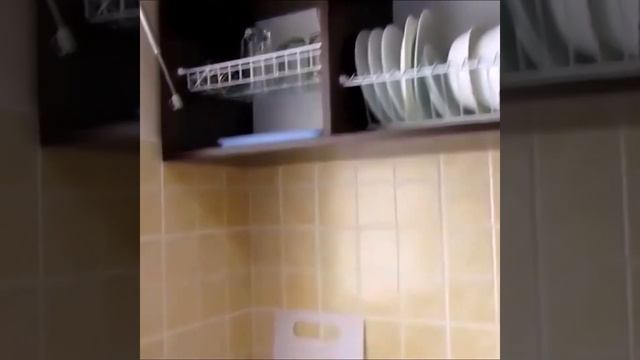 Отдых в Крыму в Центре Феодосии. Описание см. Комменты.