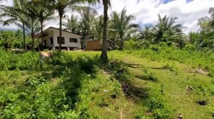 Личное мнение о стройке Димы и Найви | Жизнь с филиппинкой в деревне | Батя красит стены