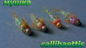 Мушка " callibaettis " нимфа подёнки для ловли хариуса и ленка
