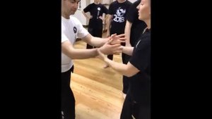 Илицюань. Вращение рук.