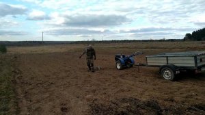 Собираю камни в огороде,мотоблок