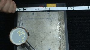 LG 42LF550V ремонт подсветки