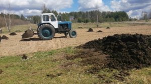 Лучшее удобрение для картофеля и не только./Жизнь в деревне.