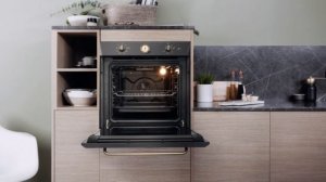 Духовой шкаф Hotpoint Ariston FIT 804 H AN