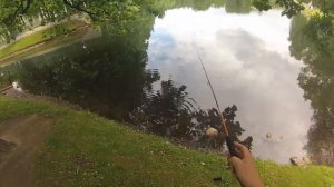 рыбалка Таврический сад