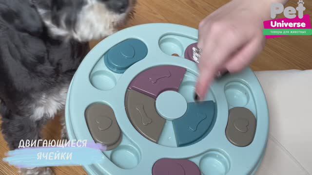 PU1001BG Интерактивная обучающая игрушка для собак и кошек Pet Universe, диаметр 24 см смотреть онлайн