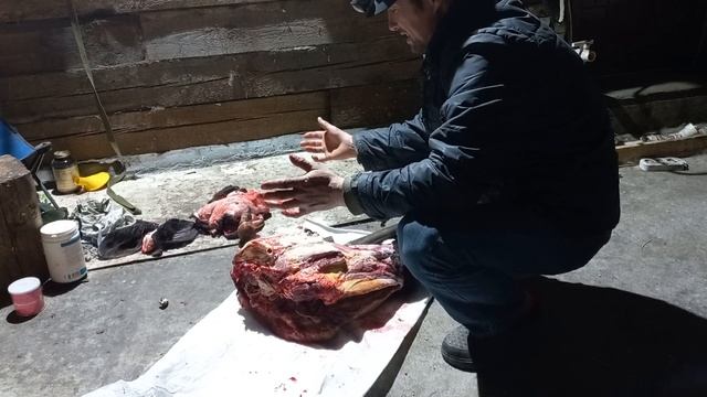 Бугай Алабай. Одна голова хорошо, а две лучше. смотреть онлайн